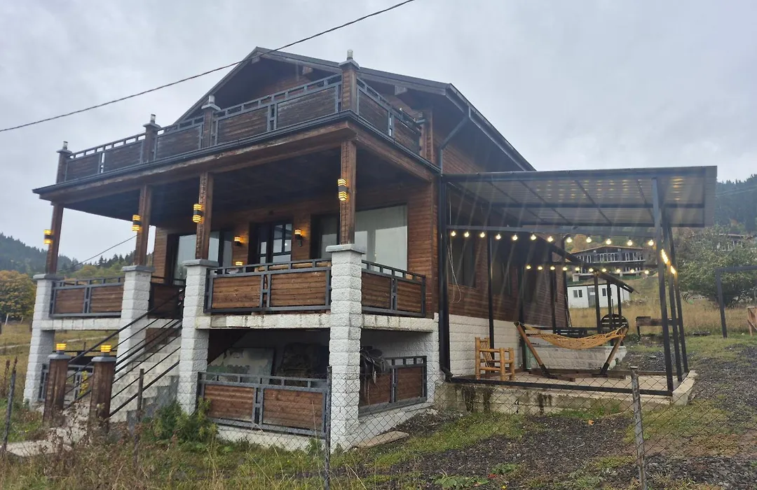 Villa Victoria In Bakuriani-1