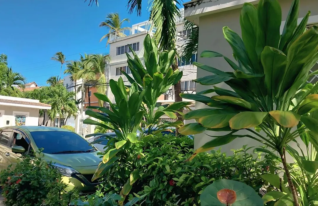 Punta Cana Beach&Garden B&B 1-1