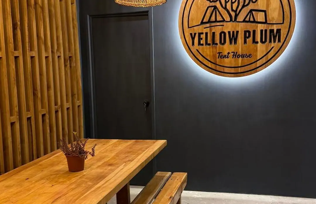 Camping Yellow Plum-1