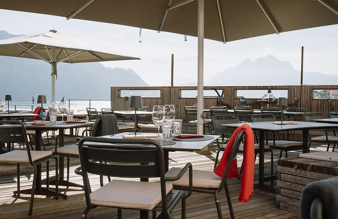 Alpenblick Weggis - Panorama & Alpen Chic Hotel-1