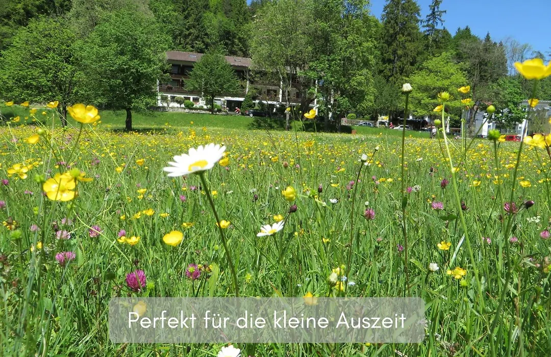 Hotel Ruchti - Zeit für mich-1