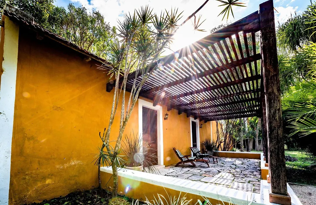 Hacienda San Antonio Millet-1