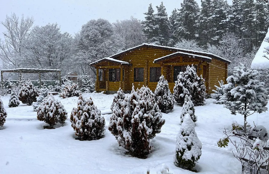 Kingswood Cabins Borjomi-1