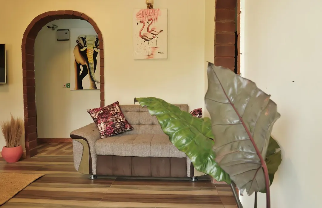 Msovi Hideaway-1