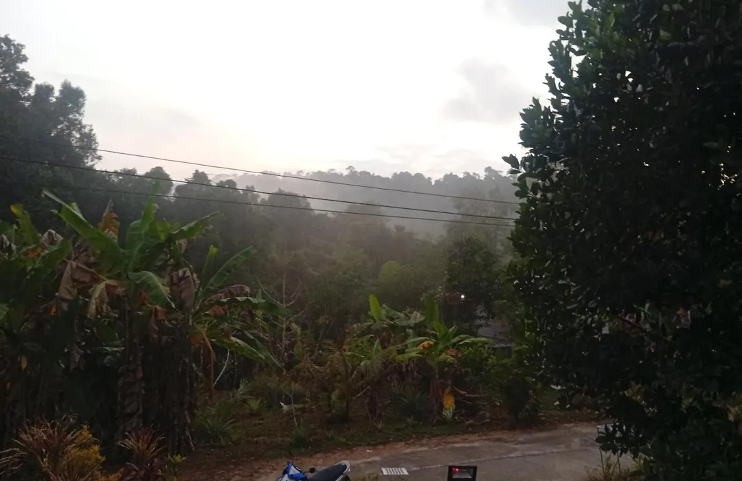 Pu Ya Deep Forest Home-1