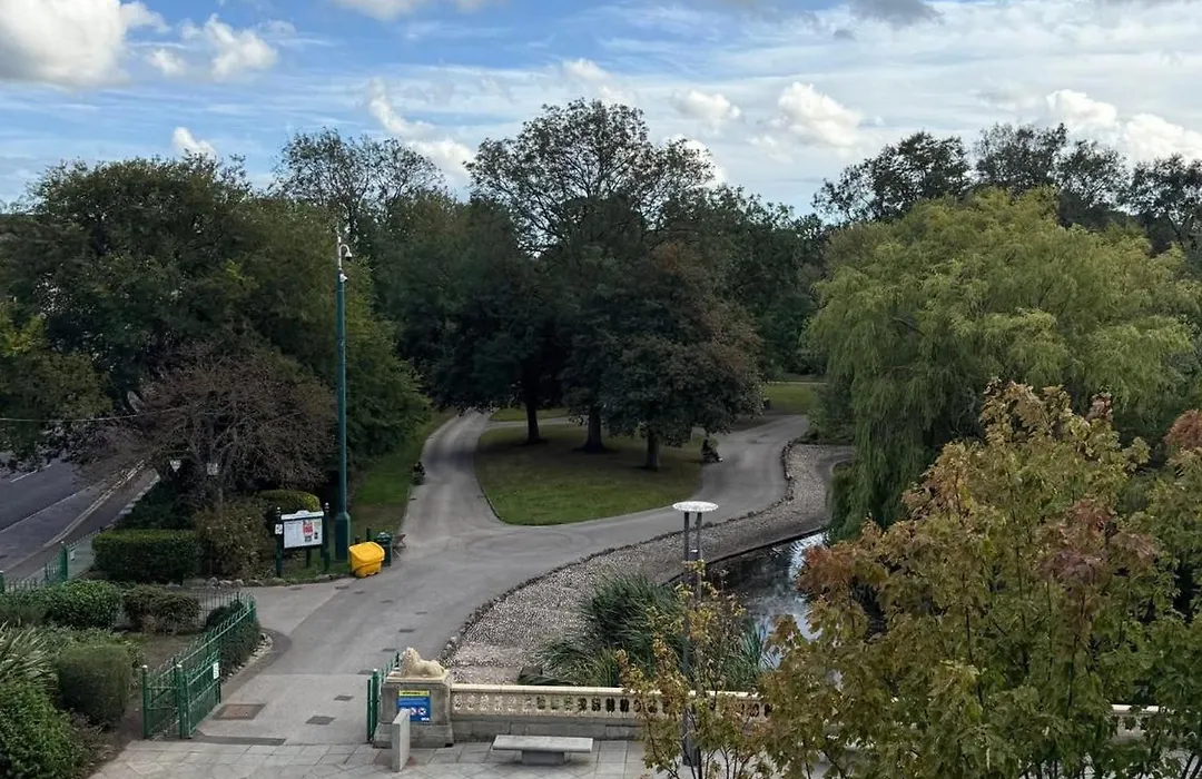 The View-1