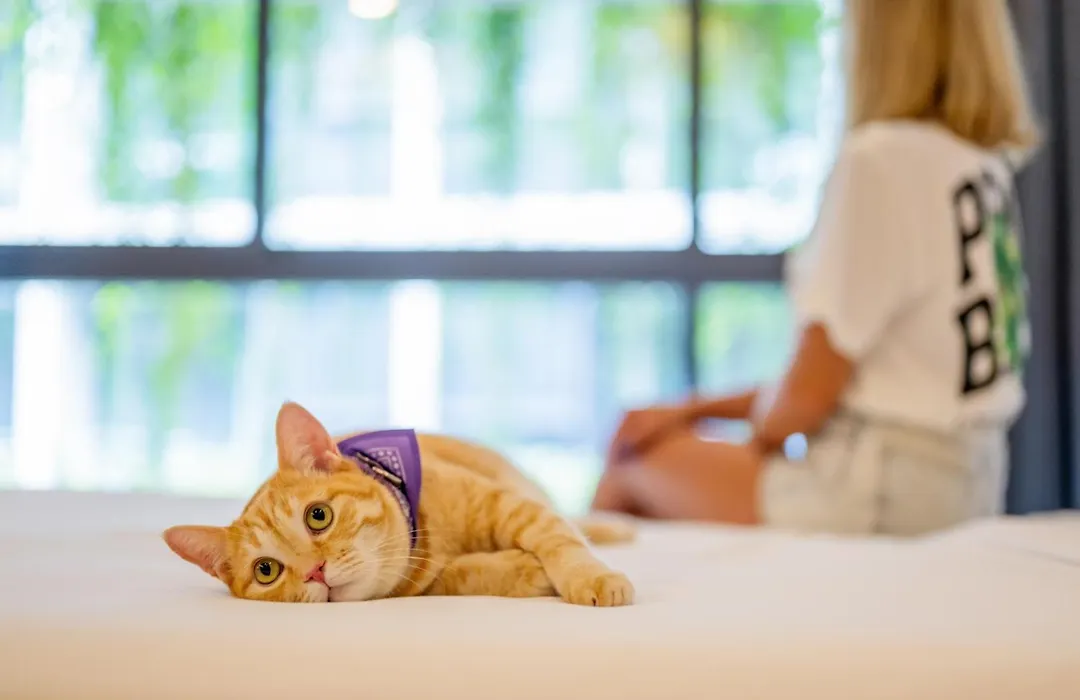 Homa Phuket Town-1