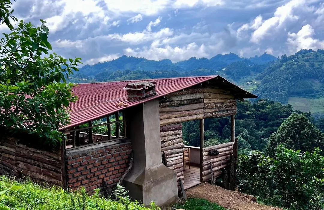 Migogo Gorilla Lodge-1