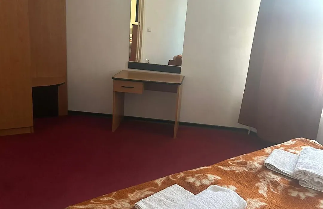 Hotel Vinga-1