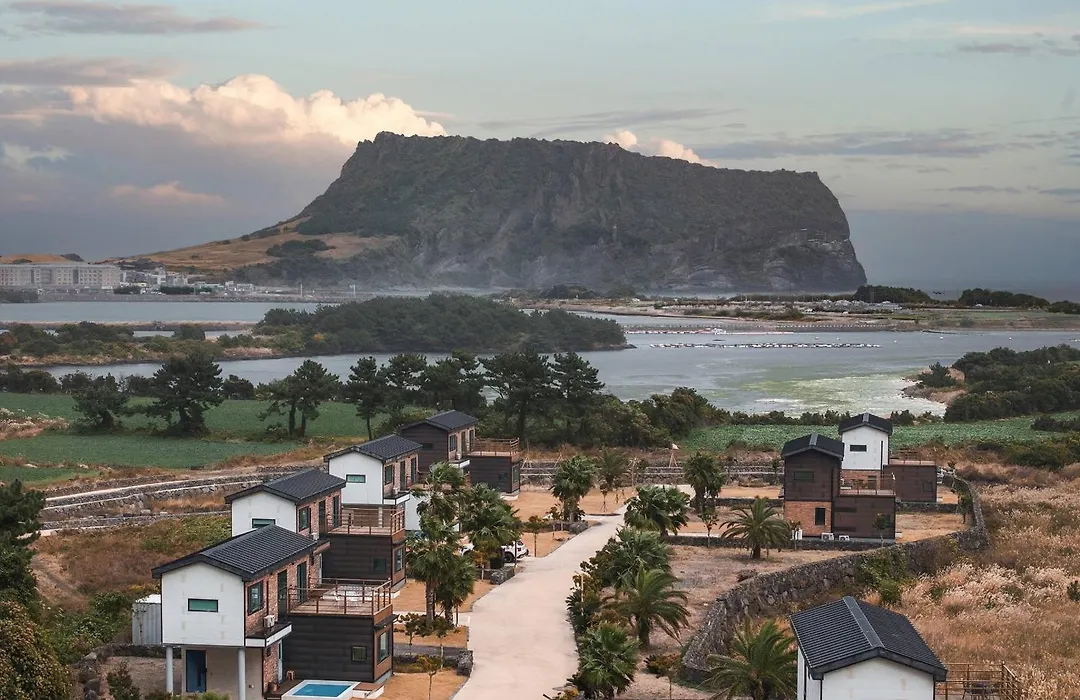 Jeju Soha Stay Pet-Friendly Pension-1