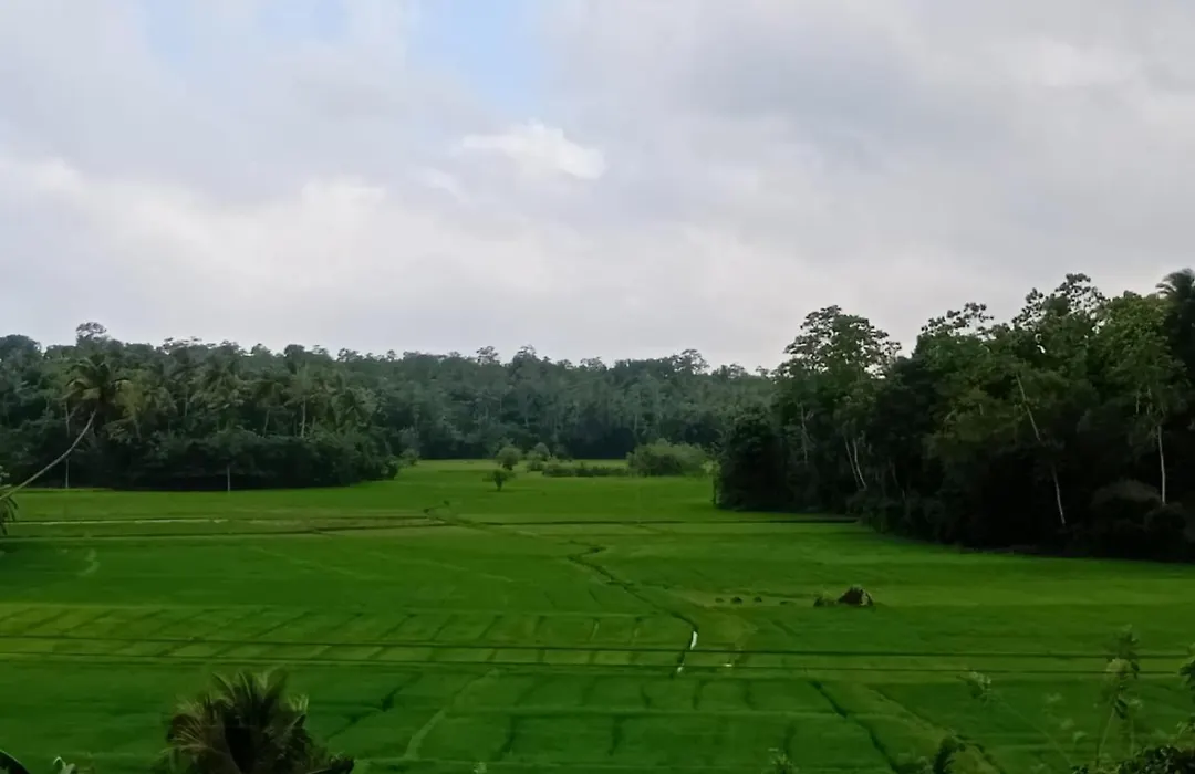 Marigold Villa-1