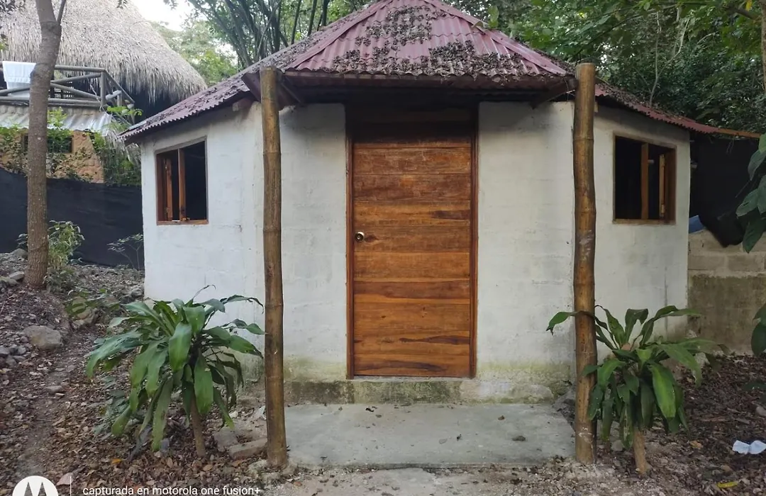 Coliving & Lodge-1