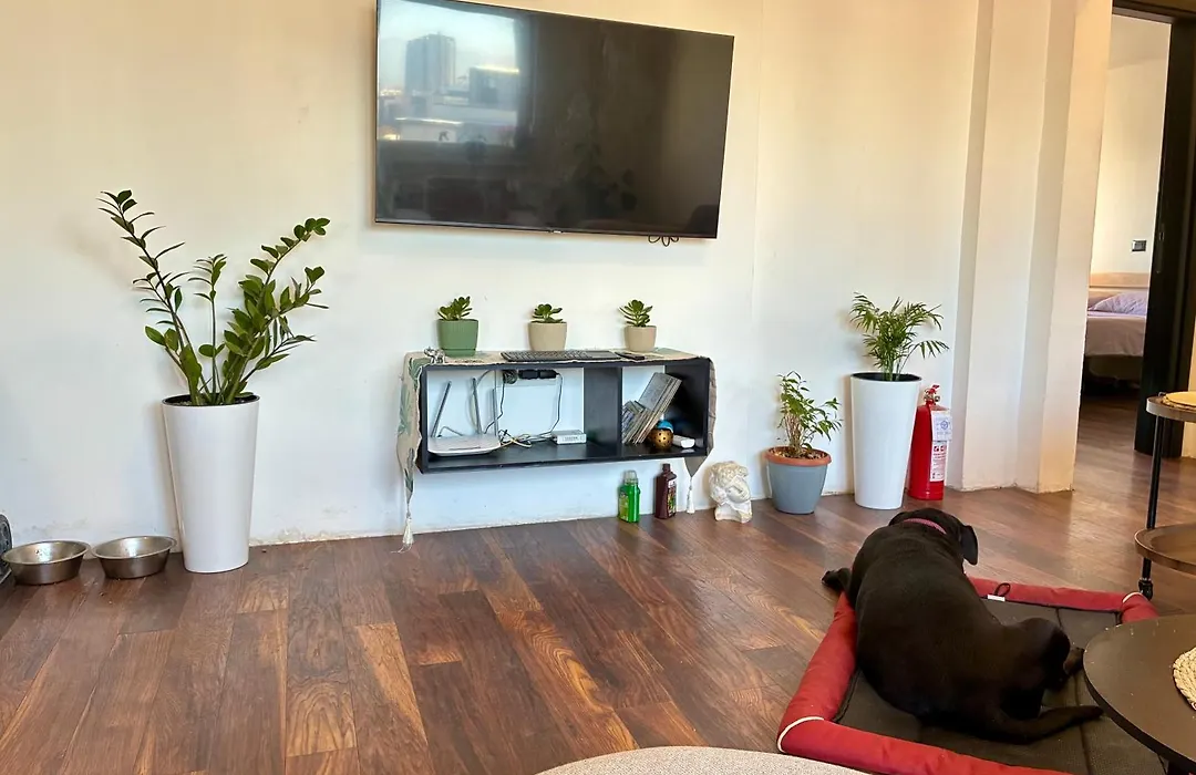 Homestel-1
