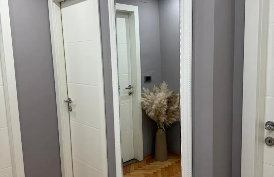 Luksar Apartment Nis-1