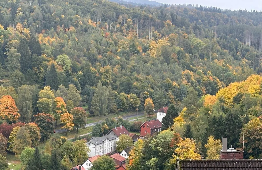Pension Talblick Bad Grund-1