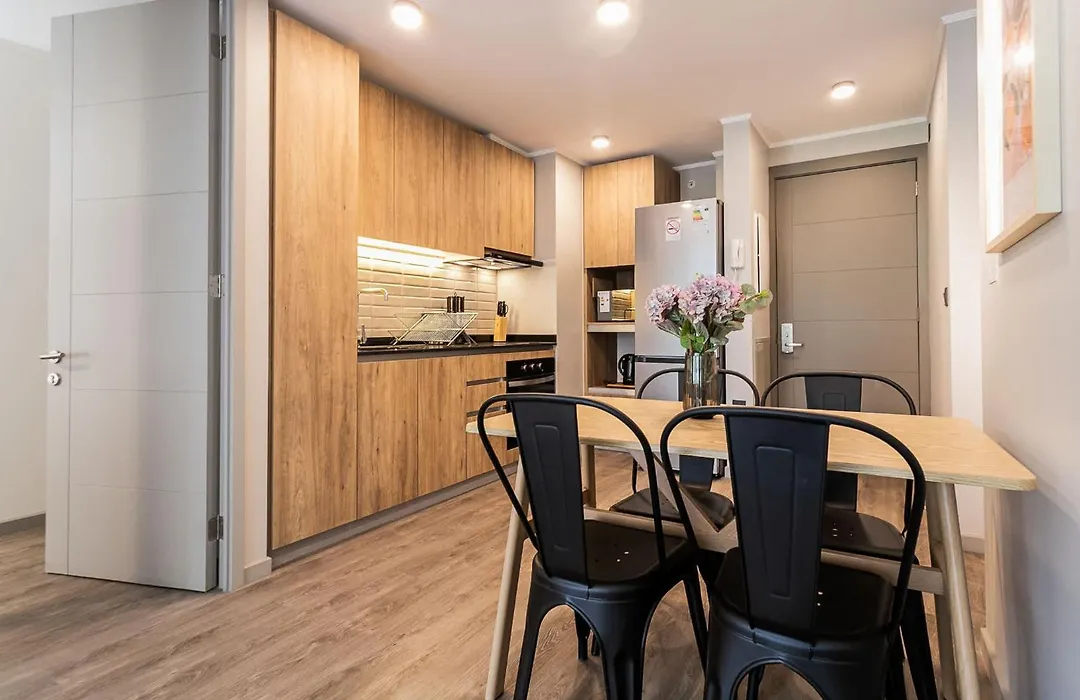 Ideal Families Apartment With Pool In Providencia-1