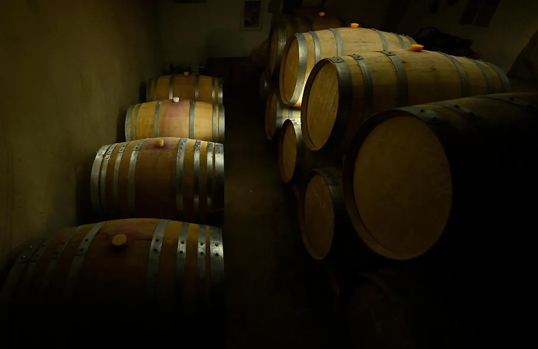 Areni Wine Art-1