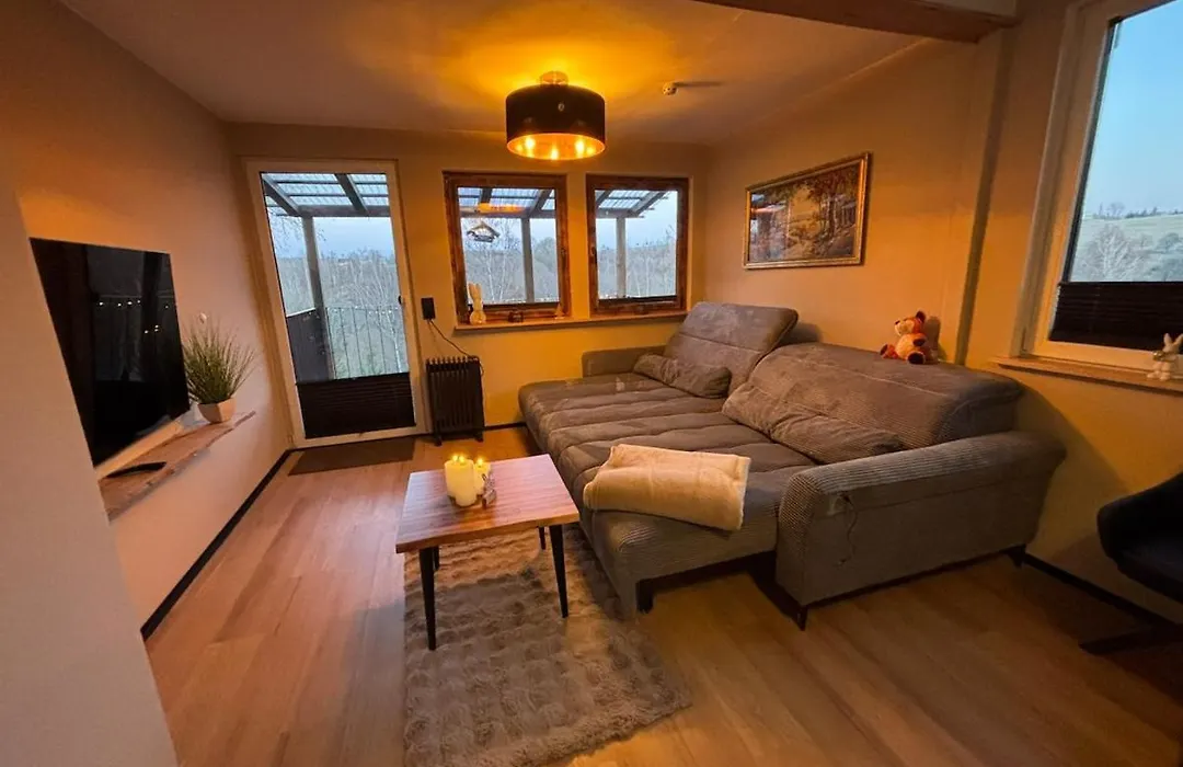Fuxbau Design-Ferienhaus im Harz mit Sauna und Kamin-1