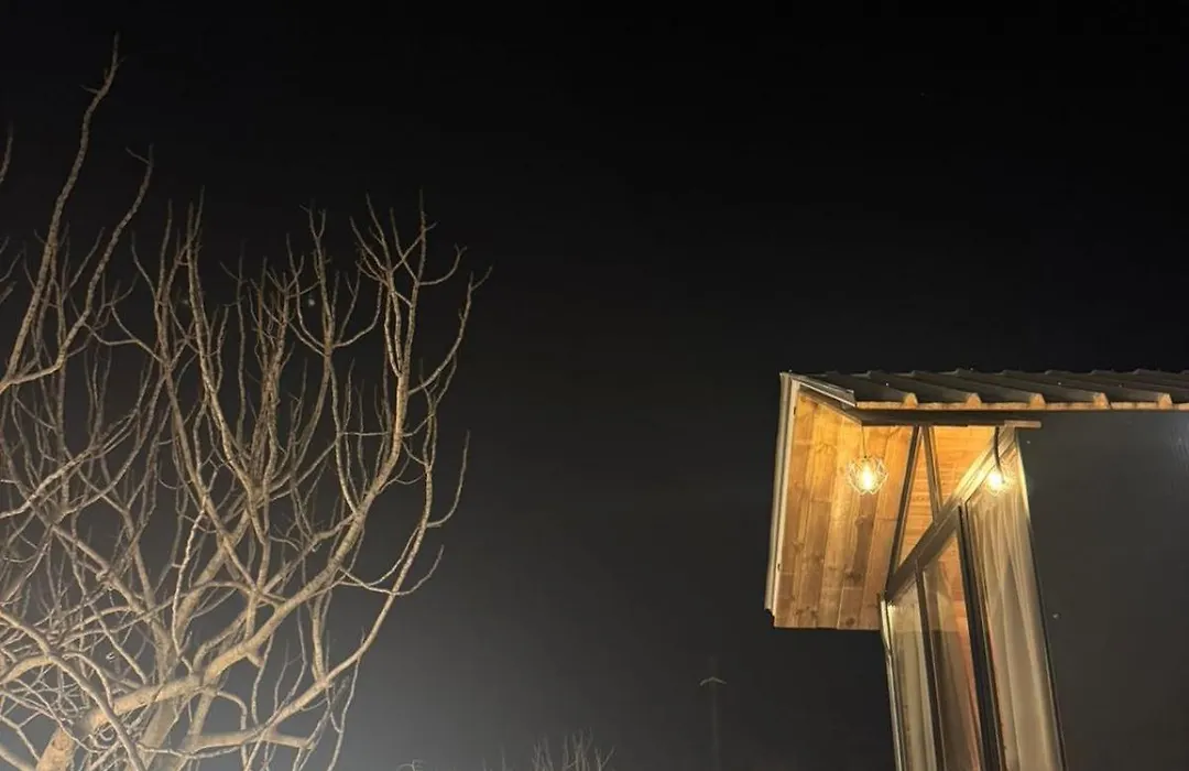 Cozy Forest Cabin-1