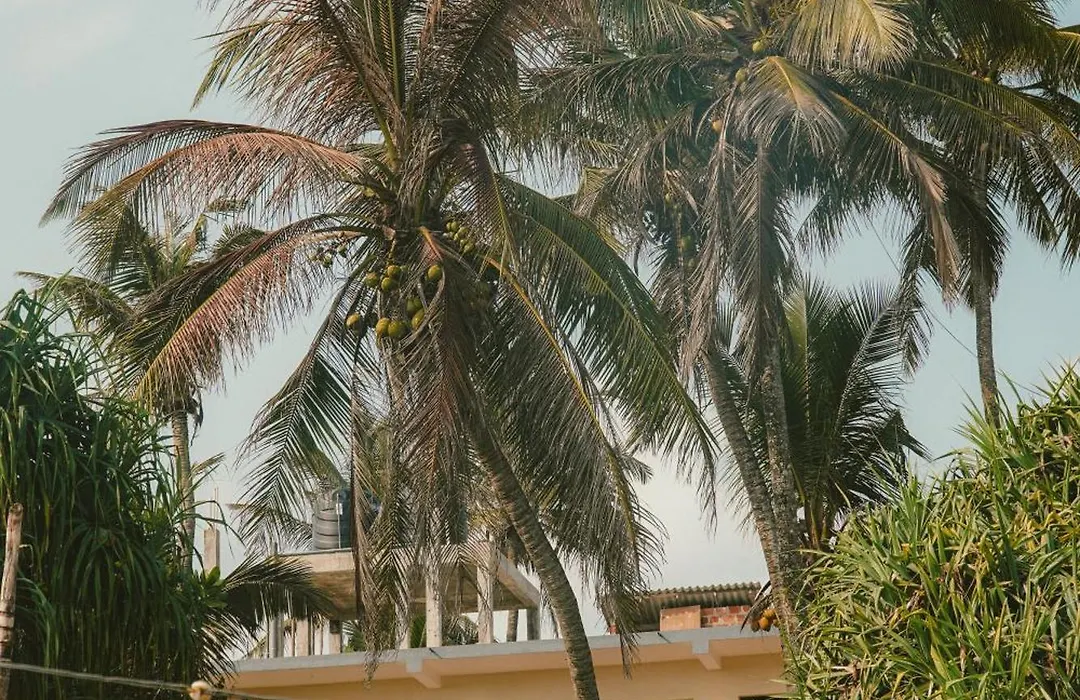The Reset House - Wellness Hostel Hiriketiya-1