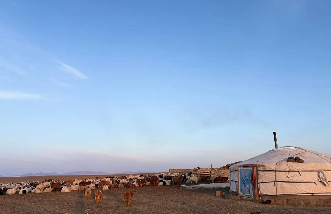 Mongolian Nomadic Herders-1
