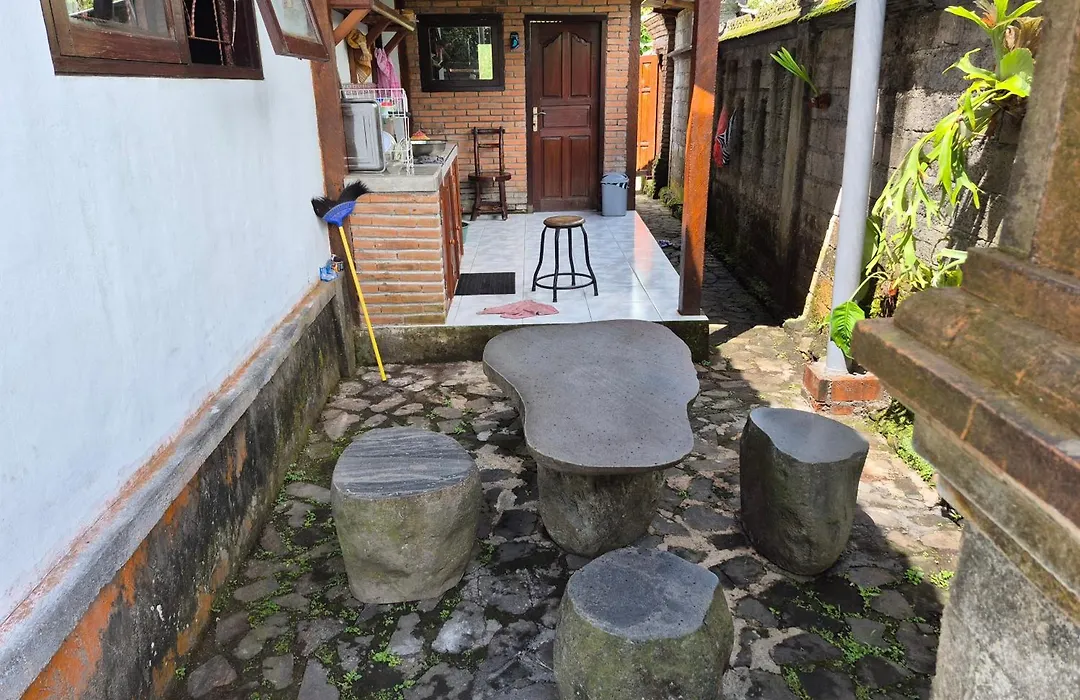 Villa Taman Near Sidemen Bali-1