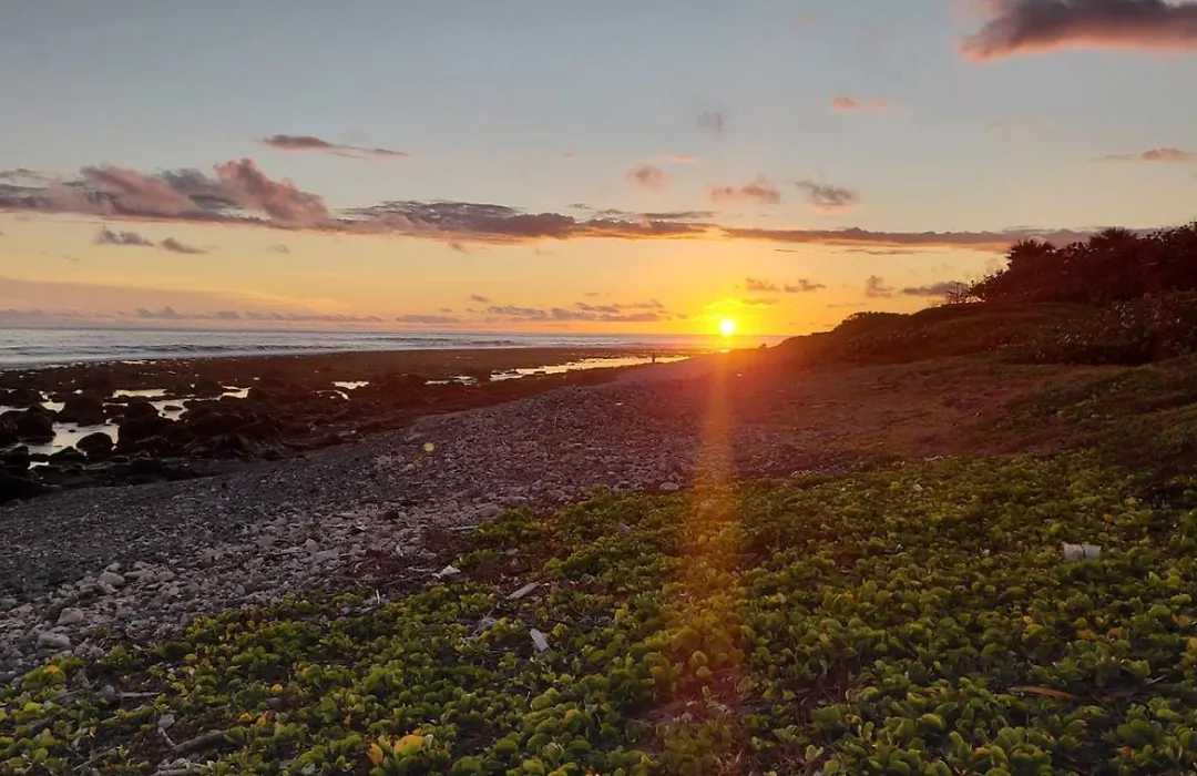 Aux Battants Des Lames Acces Prive Plage & Vue Ocean-1