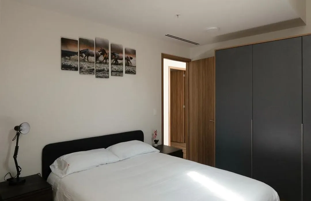 Furnished 2 Bedroom Apartment In Mexico City-1