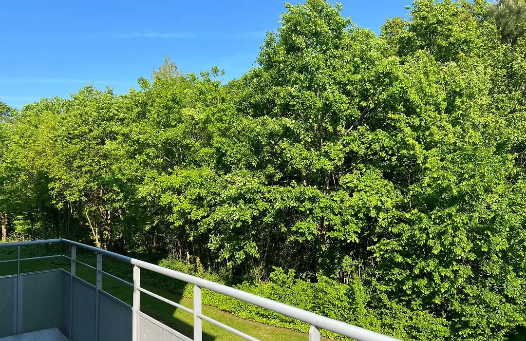 Le Clos Schumann-1