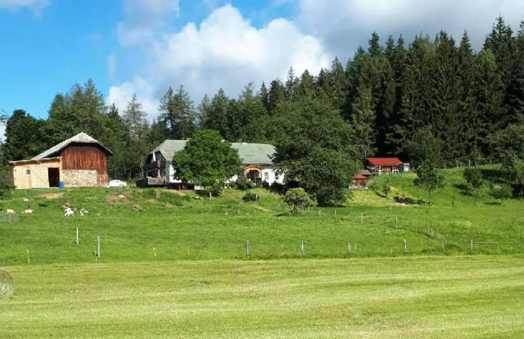 Landhof Steinhütte-1