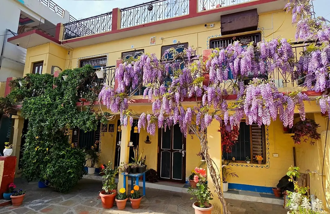Katyuri Kings Divine Stay- Babaji'S Cave-1
