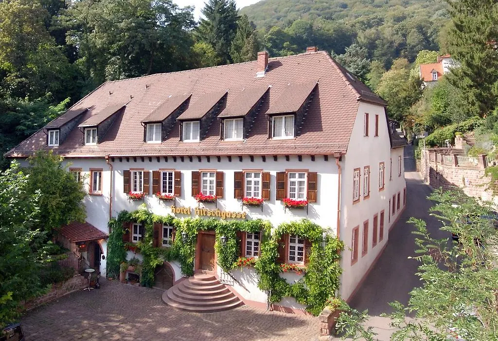 Die Hirschgasse Heidelberg-1