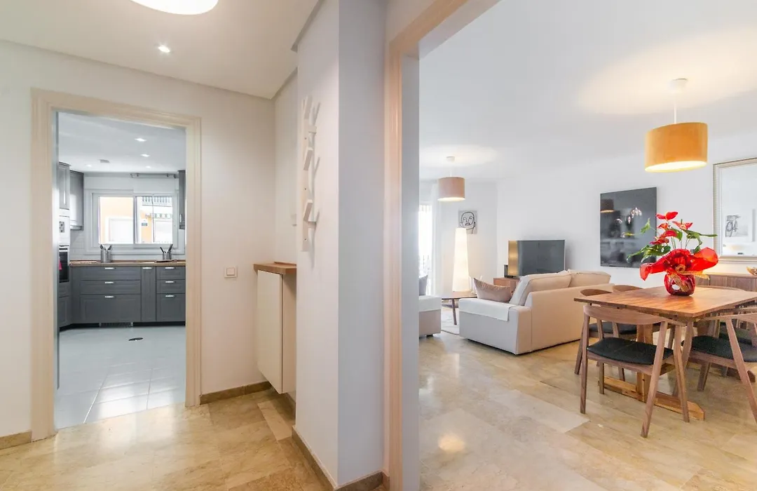 Large Apartment Marbella Del Mar-1