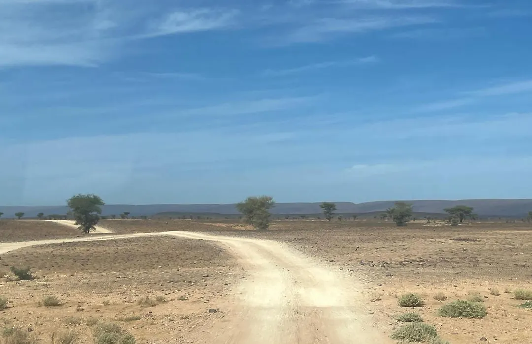Desert Mhamid-1