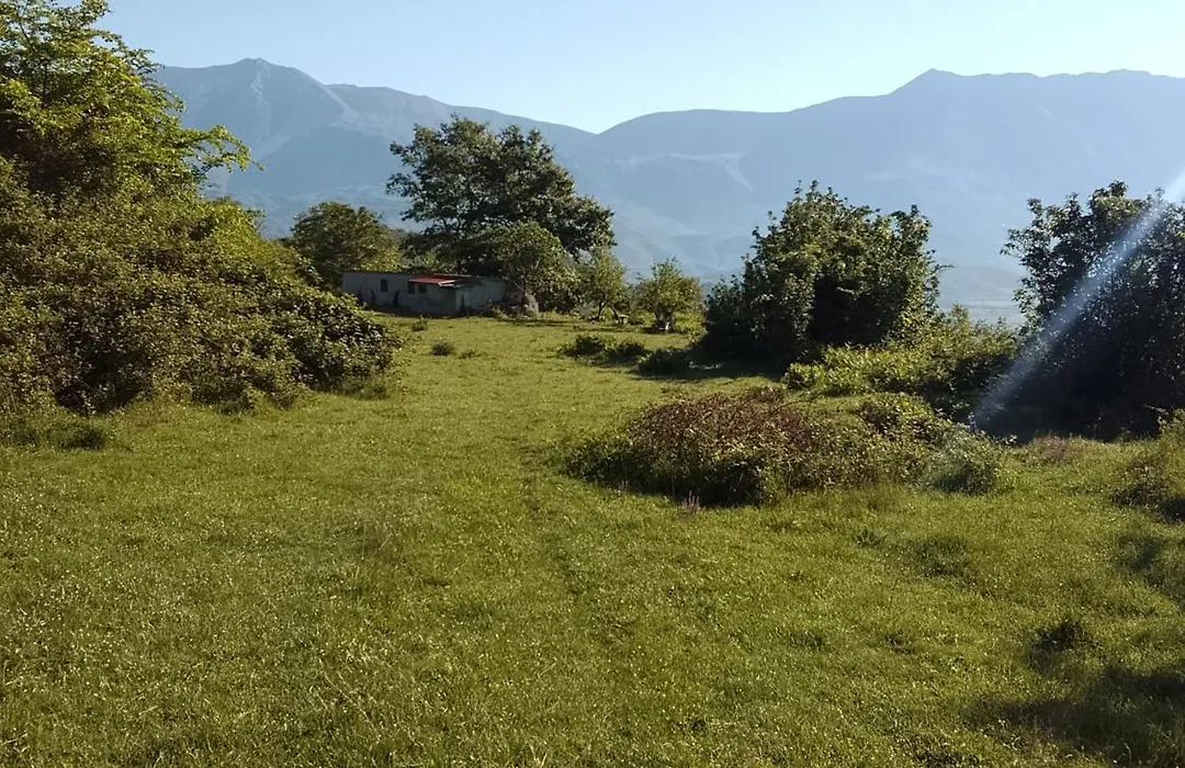 Farm Zeko-1