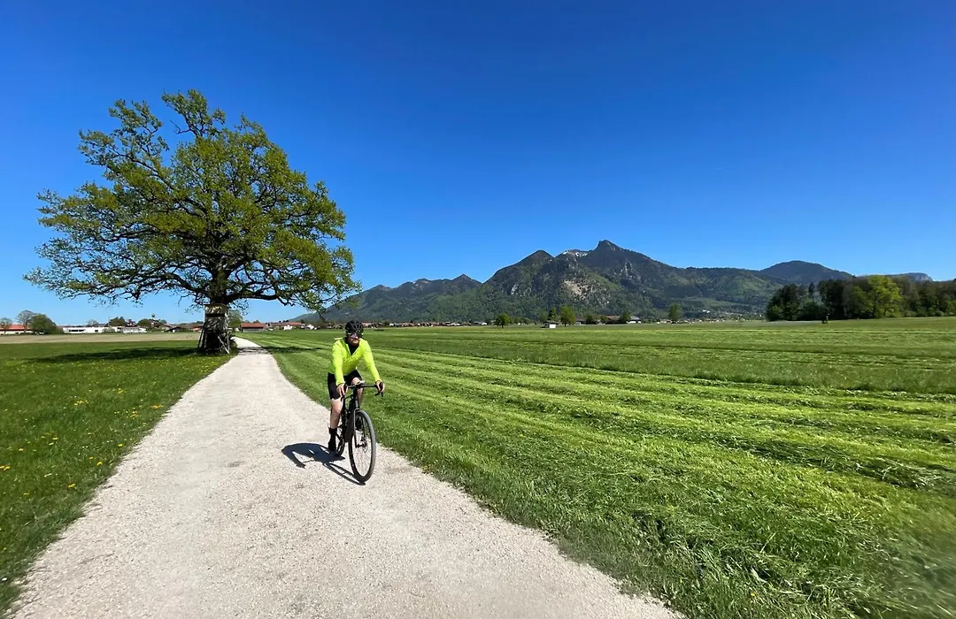 Gasthof Prinzregent Superior-1