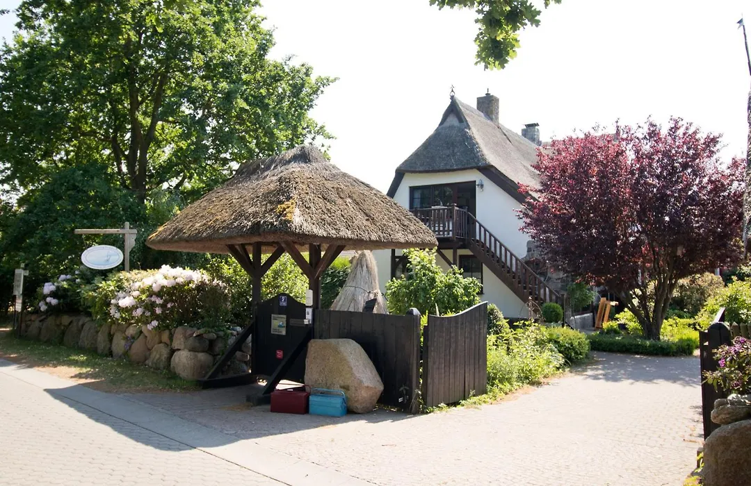 Ferienwohnung Boddenbrise-1