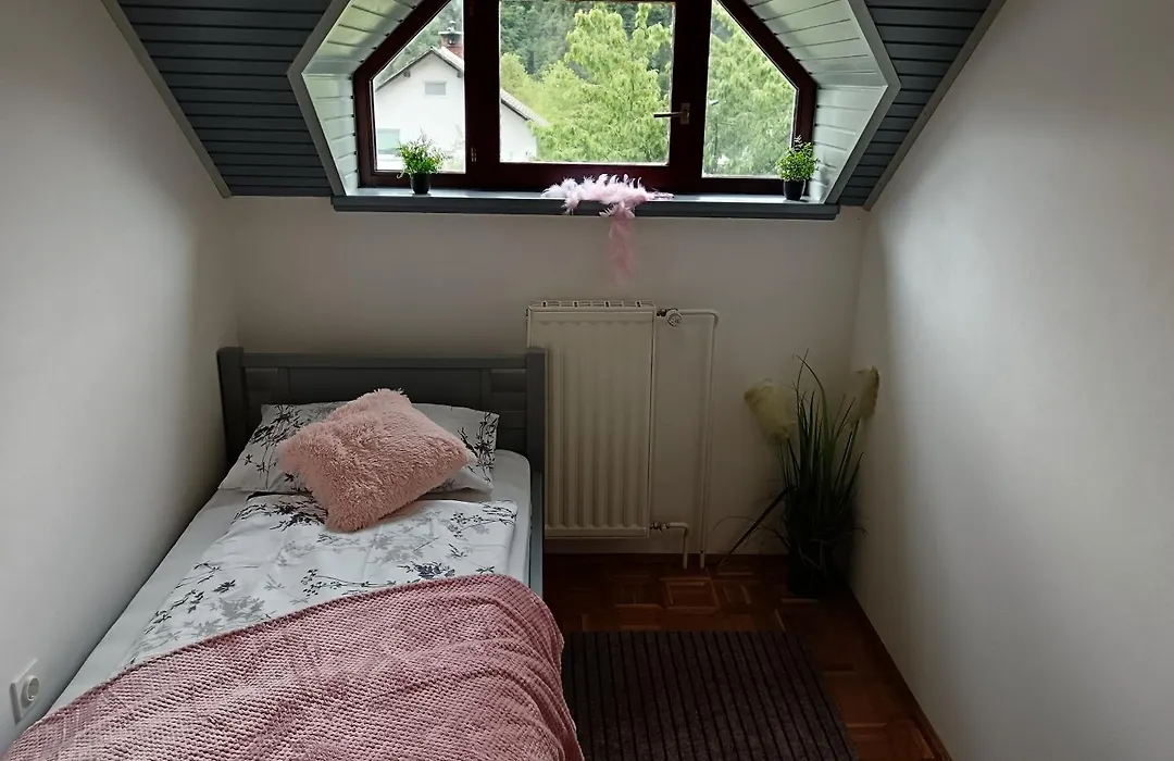 Apartmaji Jezerka Bled-1
