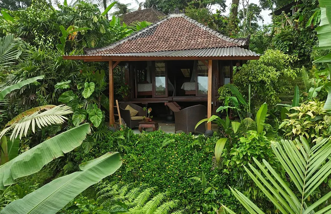 Sarinbuana Eco Lodge-1