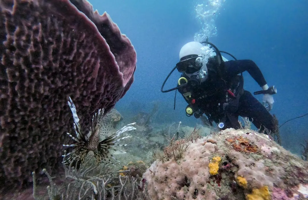 Ocean Lovers Taganga - Padi Dive Center & Hostel-1