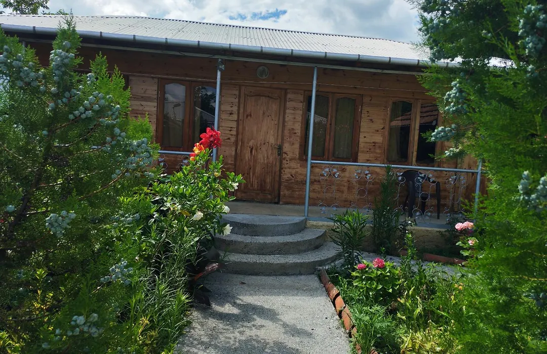 Green Villa Tskaltubo-1