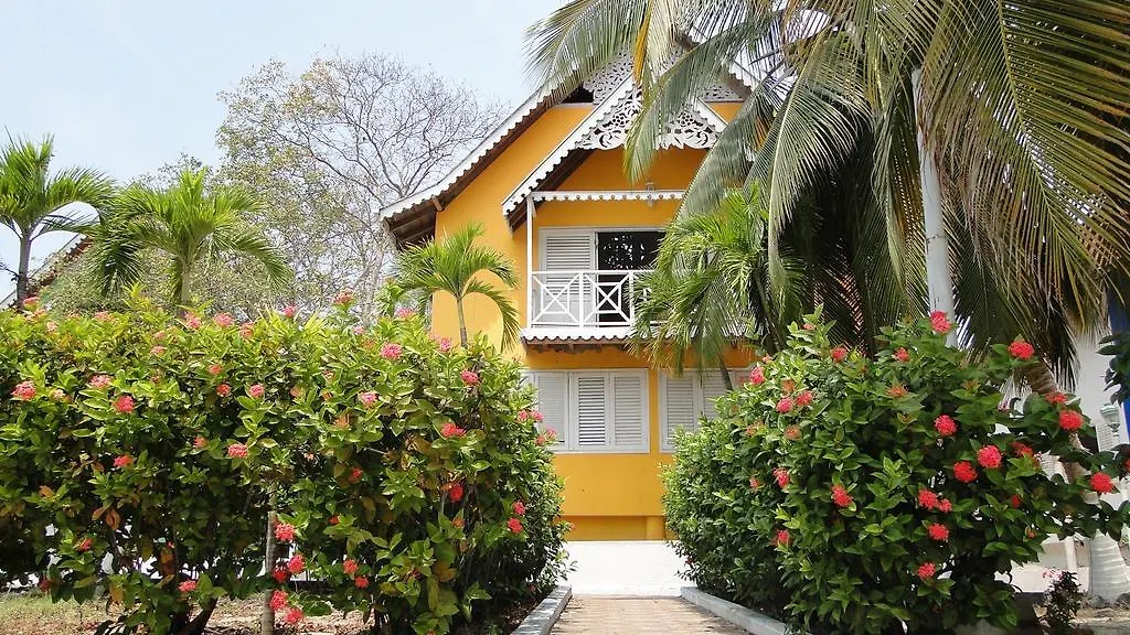 Golden Frog Hostels-1