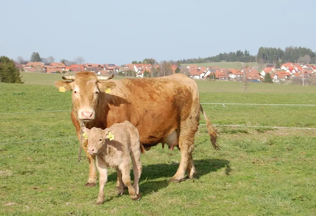 Landgasthaus Engel - Naturparkwirt-1
