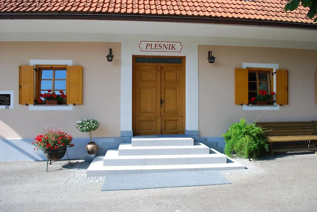 Farm Stay Rotovnik - Plesnik-1