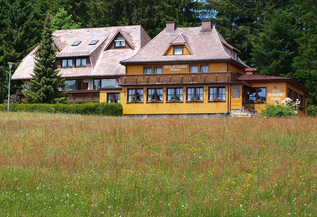 Hotel Restaurant Peterle-1