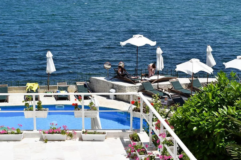 Peter Hotel-1