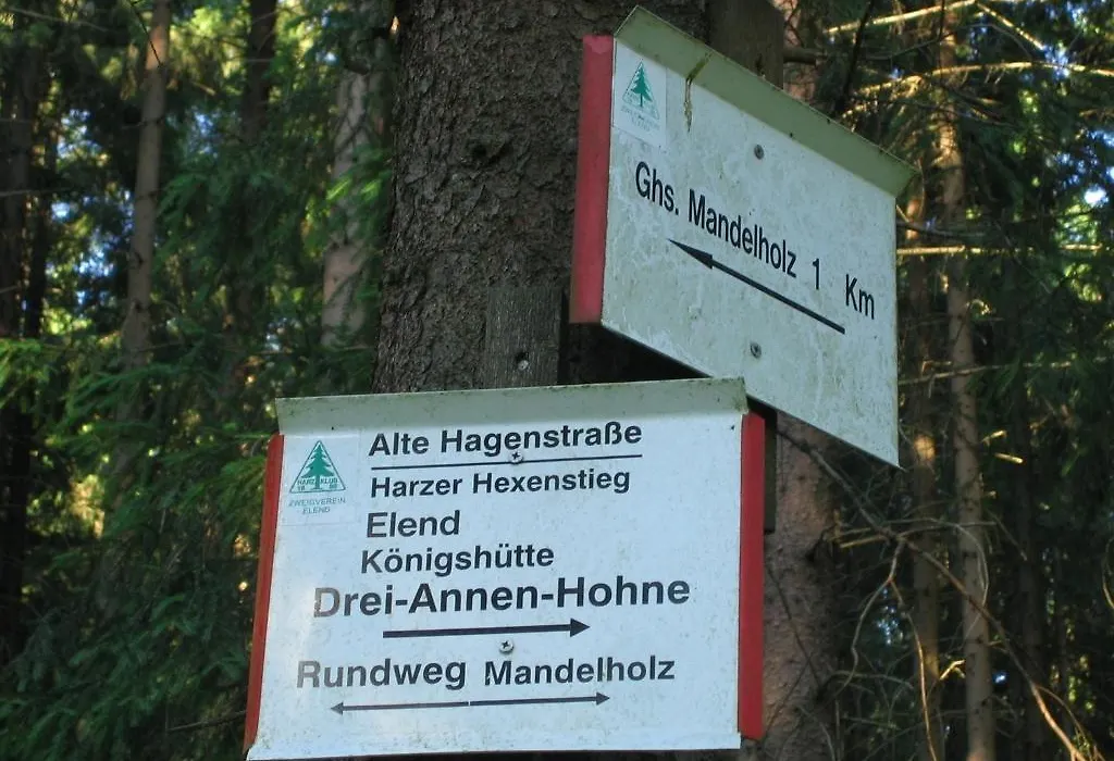 Hotel Grüne Tanne Mandelholz-1