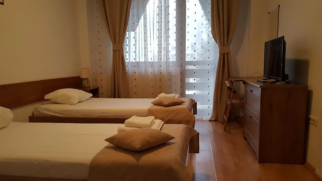 Floarea Soarelui-1