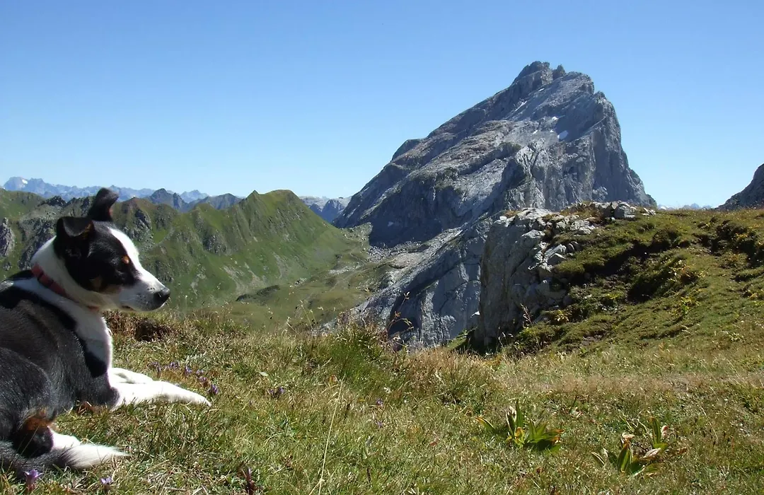 Sonnenhaus Sander-1