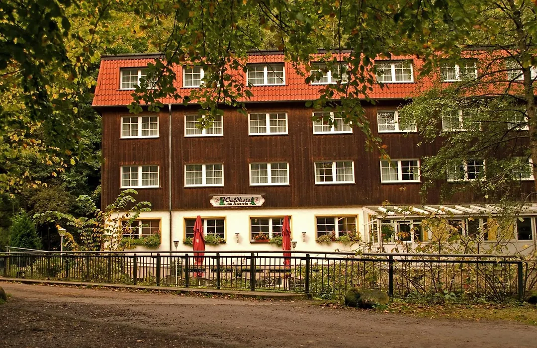 Waldhotel Am Ilsestein-1